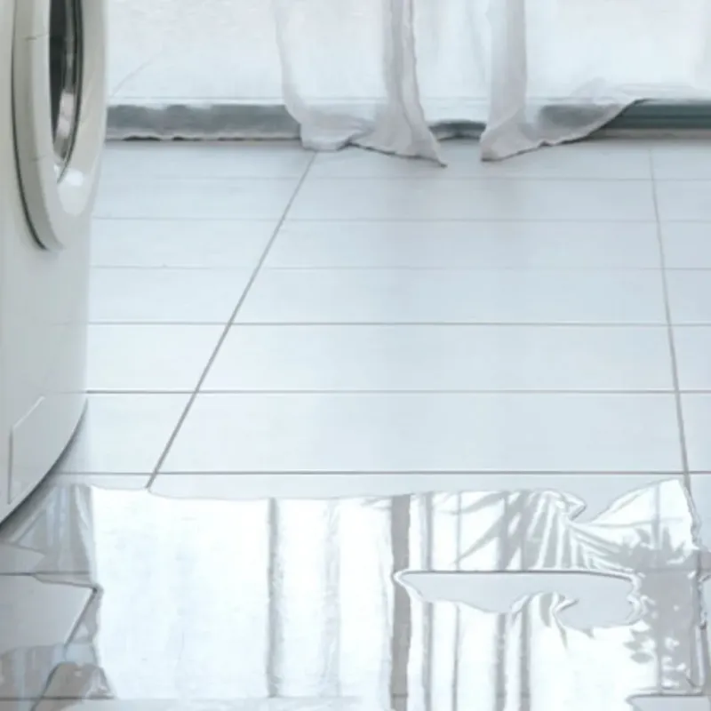 Appliance Leak Cleanup in Sparks, NV